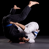 Brazylijskie Jiu Jitsu
